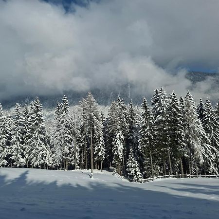 Casableiberg - Garten Apartment - Naturpark Dobratsch Bad Bleiberg Dış mekan fotoğraf