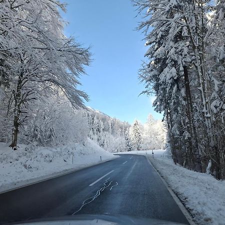 Casableiberg - Garten Apartment - Naturpark Dobratsch Bad Bleiberg Dış mekan fotoğraf