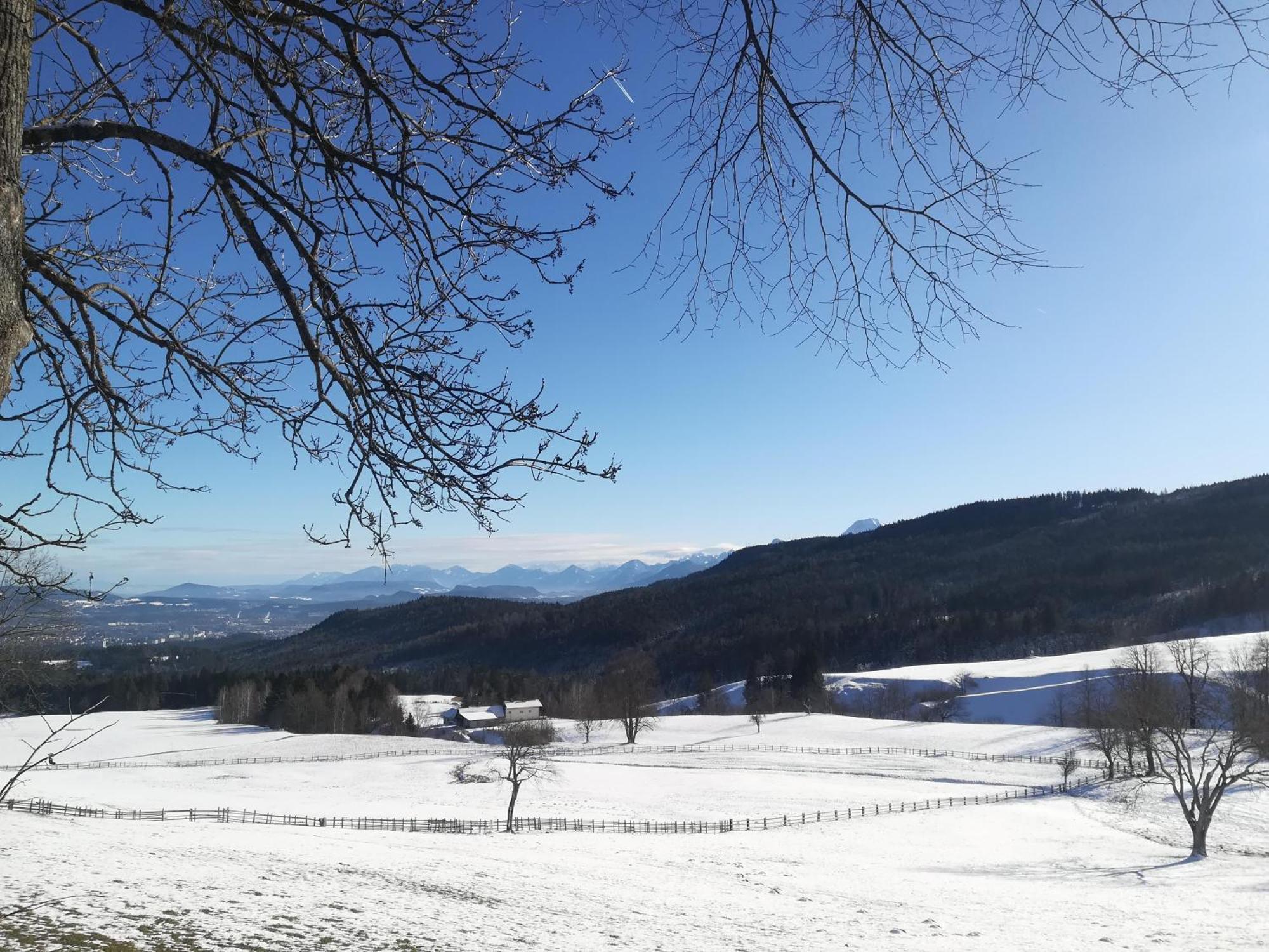 Casableiberg - Garten Apartment - Naturpark Dobratsch Bad Bleiberg Dış mekan fotoğraf