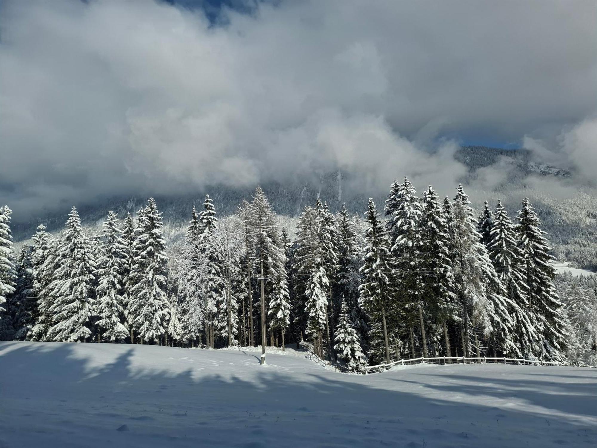 Casableiberg - Garten Apartment - Naturpark Dobratsch Bad Bleiberg Dış mekan fotoğraf